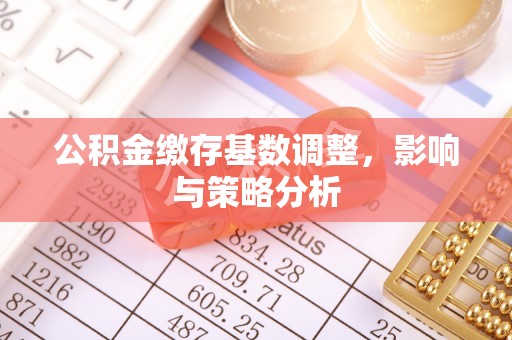 韶山公积金缴存基数调整，影响与策略分析