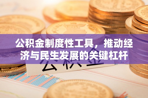 韶山公积金制度性工具，推动经济与民生发展的关键杠杆