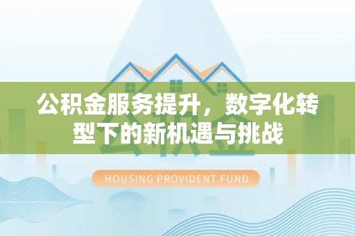 韶山公积金服务提升，数字化转型下的新机遇与挑战