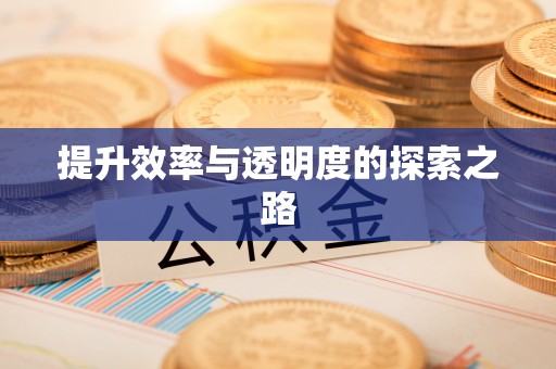韶山提升效率与透明度的探索之路
