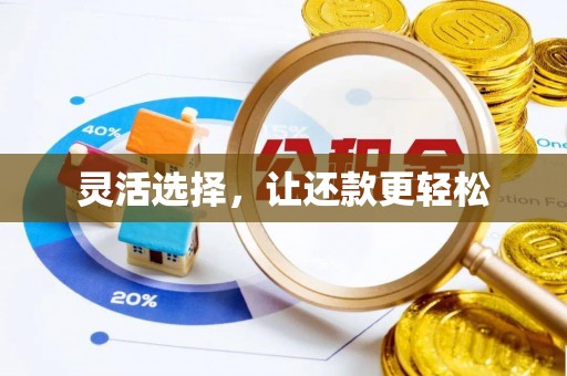 韶山灵活选择，让还款更轻松