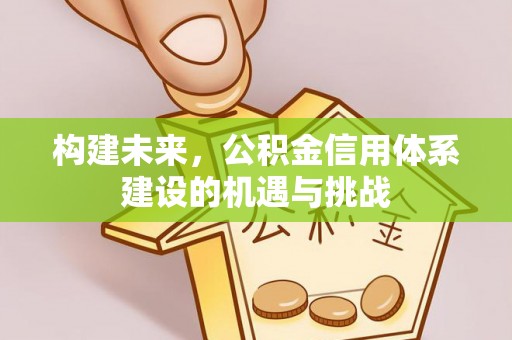 韶山构建未来，公积金信用体系建设的机遇与挑战