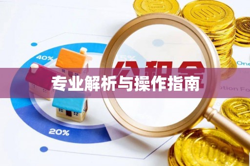 韶山专业解析与操作指南