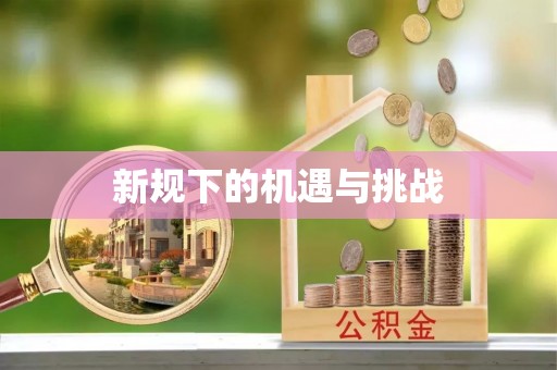 韶山新规下的机遇与挑战