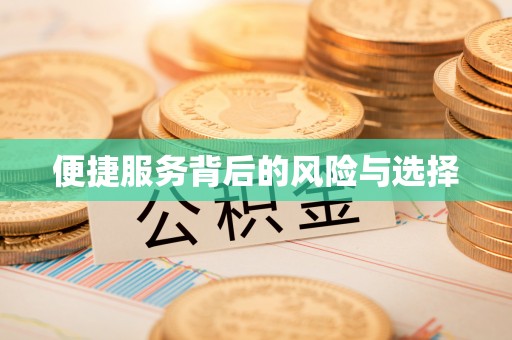 韶山便捷服务背后的风险与选择