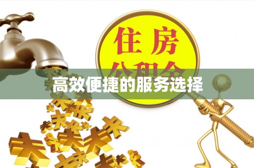 韶山高效便捷的服务选择