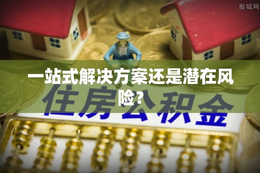 韶山一站式解决方案还是潜在风险？
