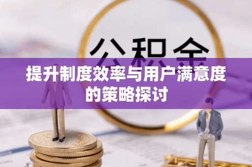 韶山提升制度效率与用户满意度的策略探讨