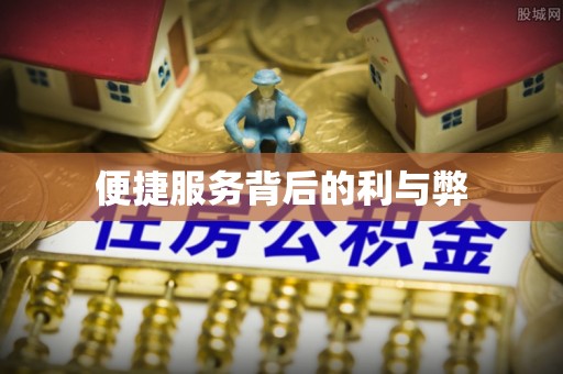 韶山便捷服务背后的利与弊